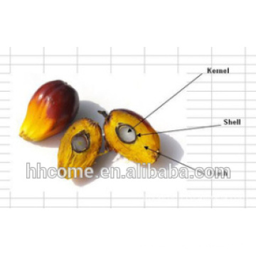 Palm Oil Plant, Palm Oil Producing Equipment, Palm Oil Extraction Machine